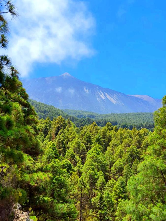 Monte Frio De Tenerife La Guancha Exterior photo